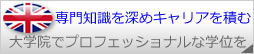 専門知識を深め、キャリアを積む