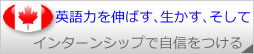 英語力を伸ばす、活かす、そして