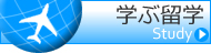 学ぶ留学