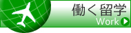 働く留学