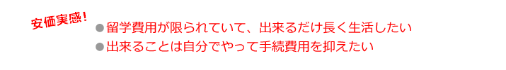 安価実感！