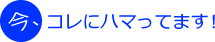 海外留学体験談 モナミさんの今、コレにハマってます