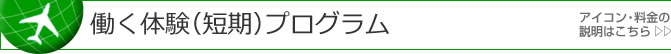 働く留学/ボランティアプログラム