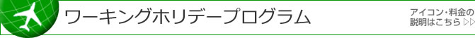 働く留学/ボランティアプログラム